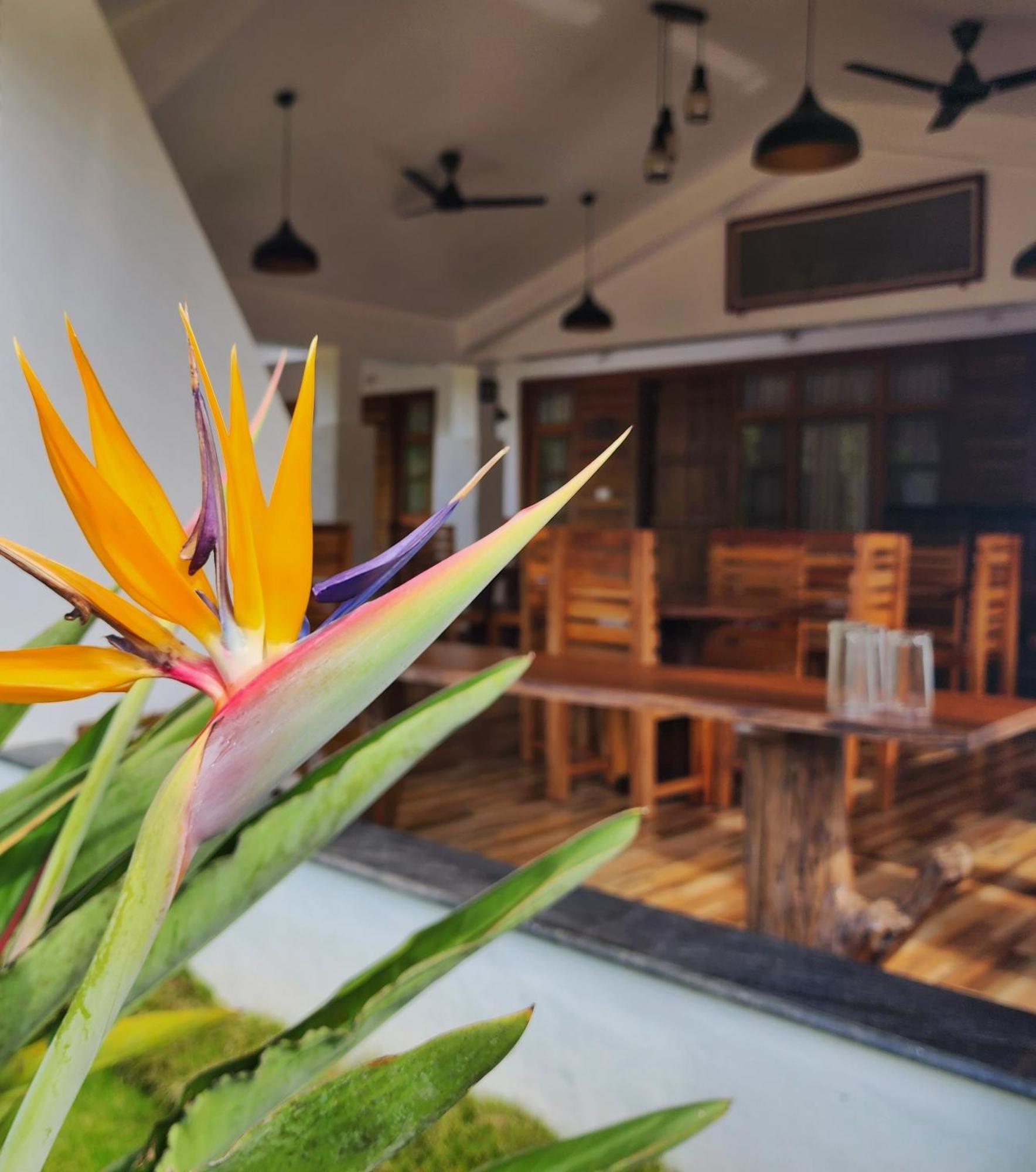 Riyavar Luxury Siddapura (Karnataka)